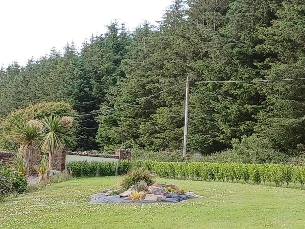 Ashburnum Cottage Bandon Exterior foto